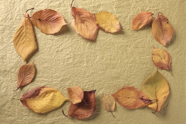 Dry Leaves Brown Paper Background — Stock Photo, Image