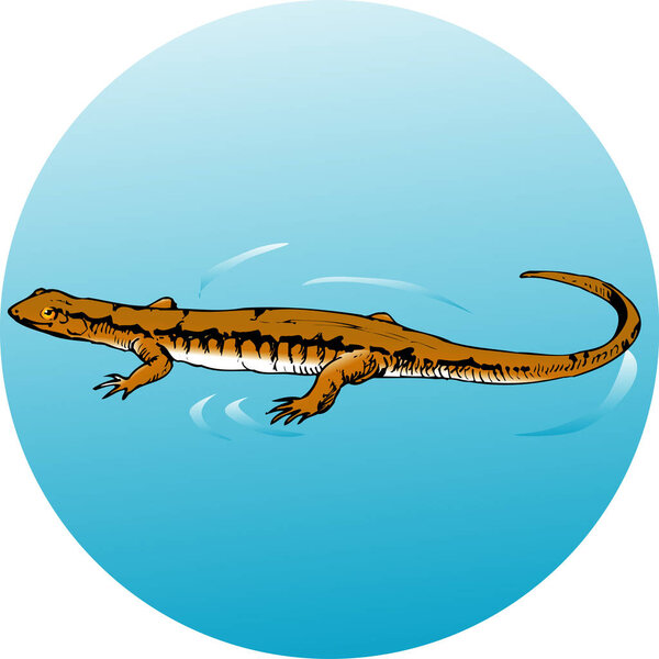 Красочная карикатура на милую ящерицу, лежащую на воде