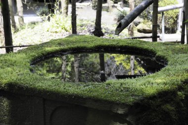 Etrafı yeşilliklerle çevrili dairesel taşlar.