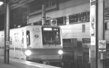 İstasyondaki bir trenin siyah beyaz fotoğrafı.