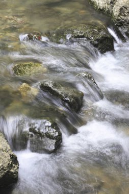 Ormandaki şelalenin güzel manzarası               