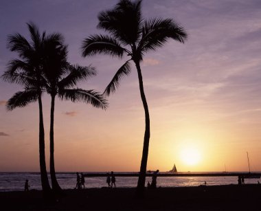 Gün batımında sahilde insanlarla dolu palmiye ağaçları.