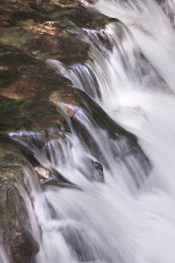 ormandaki nehir dağ