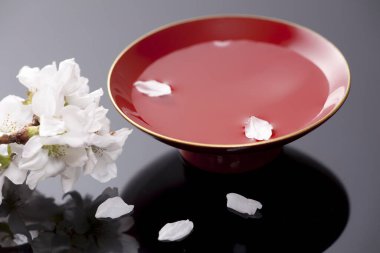 Güzel kiraz çiçekleri ve suyla dolu kase.    