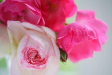 Güzel gül buketine yaklaş.