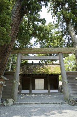 Geleneksel Japon tapınağı kapısı uzun yeşil ağaçlarla çevrili.