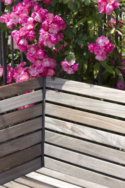 Baharda bahçede bank