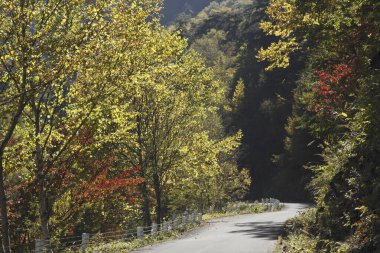 dağda sonbahar renkleri