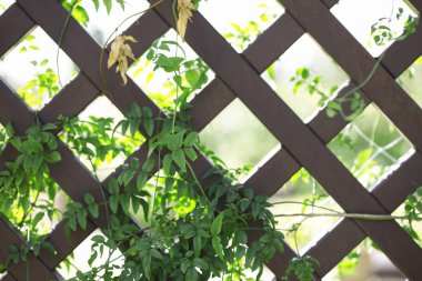 Bahçedeki çitlerin üzerinde yakın plan fabrikası.