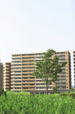 Güneşli bir günde modern apartmanlar