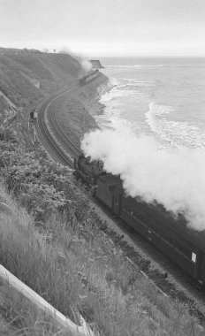 Deniz kıyısındaki tren raylarında siyah beyaz trenler görülüyor.  
