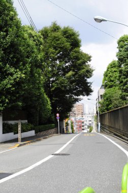Uzun yeşil ağaçların yanında sessiz şehir caddesi kıvrımları