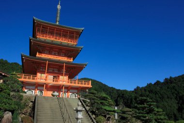 Nachi düşer ve üç hikaye pagoda Seiganto Ji: Wakayama, Japan