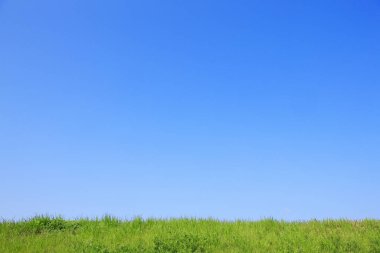 Gökyüzündeki yeşil çimenler