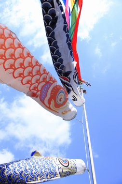 Japon koinobori ya da sazan balıklarının açık hava görüntüsü.                