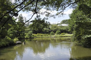 beautiful view of the japanese park