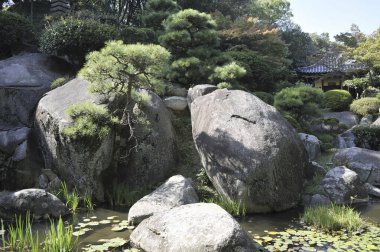 Bahar mevsiminde ağaçları ve göleti olan güzel Japon bahçesi.        