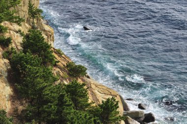 Deniz kıyısının güzel manzarası