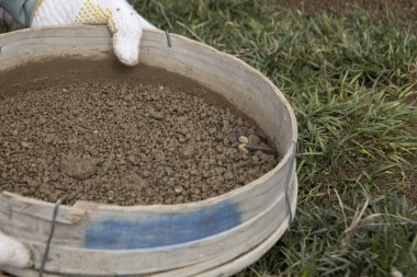 Toprak ve otla dolu elek tutan kişi