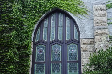 Yeşil tırmanma sarmaşıklarıyla çevrili kemerli cam pencere.