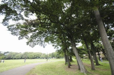 Parkta yürüyen insanlar.