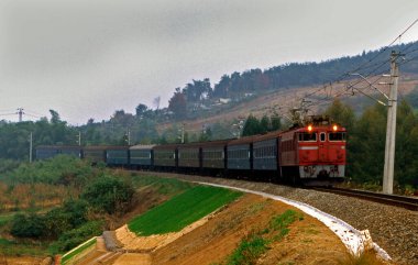 Tren, Japonya 'da yeşil çimlerle birlikte doğa arka planında ilerliyor.