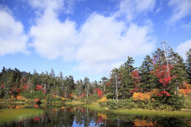 Manzaralı orman ve gölü olan güzel sonbahar manzarası     