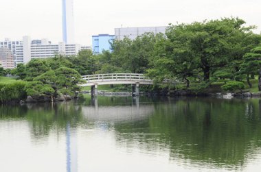 yeşil park ve şehirdeki modern binalar 