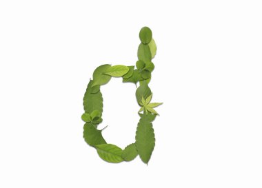 Beyaz arkaplanda yeşil yapraklardan oluşan alfabe. D harfi.