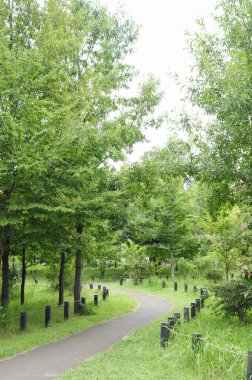 Japon Parkı 'nda gündüz vakti Yeşil Ağaçlı Yol 