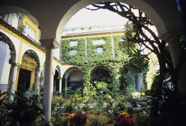 Şehirdeki eski binanın gübre bahçesi.