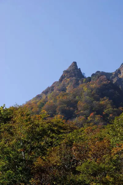 美丽的山地森林背景 秋季季节 — 图库照片