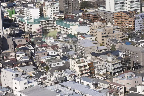 Tokyo Şehrinin Gündüz Hava Görüntüsü Japonya — Stok fotoğraf