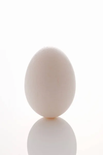 Taze Organik Tavuk Yumurtasına Yakın Çekim — Stok fotoğraf