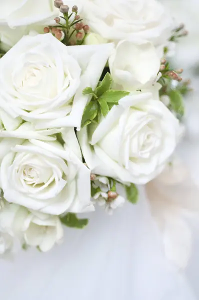 Schöne Weiße Rosen Auf Hintergrund Nahaufnahme — Stockfoto