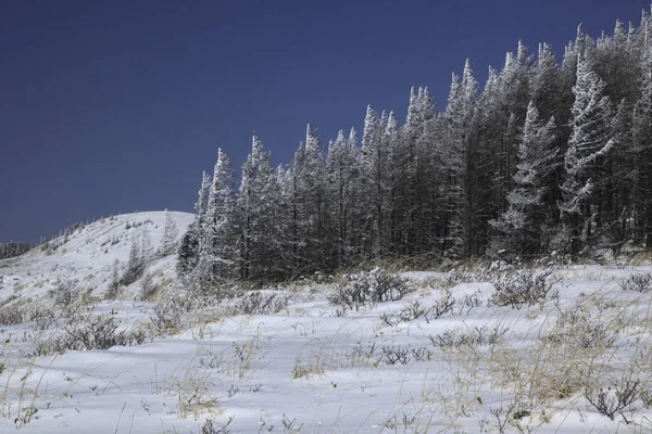 Snöig Vinter Bergslandskap Med Träd Och Snö — Stockfoto