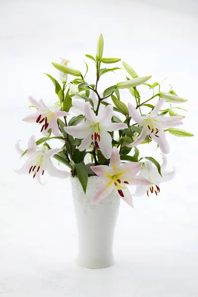 white lily flowers in vase on a white background.