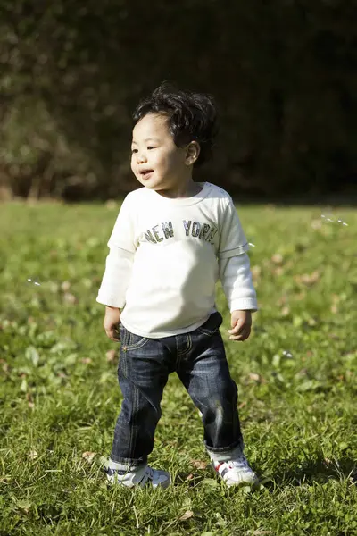 Süße Asiatische Junge Spielen Auf Dem Gras Park — Stockfoto