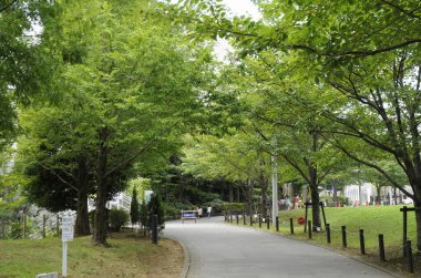 Japon şehrindeki parkın güzel manzarası.
