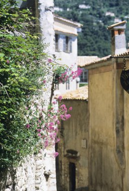 Eski taş binalar ve çiçek açan çiçeklerin bulunduğu dar bir ara sokak.