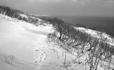 Kışın güzel deniz manzarası 