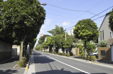 Chojamaru 'nun mimarisi, Kamiosaki olarak da bilinir, Tokyo Shinagawa' da özel bir yerleşim alanıdır..