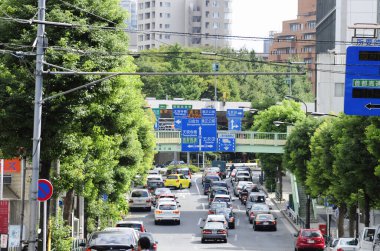 Şehir caddesi yeşil ağaçların altında arabalarla dolu.