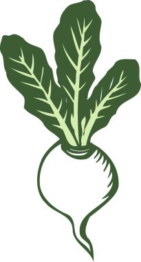 Büyük yapraklı yeşil bir şalgam, bir sebzeyi betimliyor..