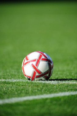 Yeşil çimlerin üzerinde futbol topu