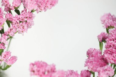 Kopya alanı olan güzel pembe limonyum çiçekleri