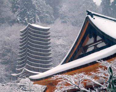 Şehirdeki geleneksel tapınak binasının manzarası
