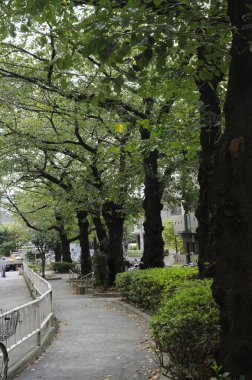 Japon şehrindeki parkın güzel manzarası.