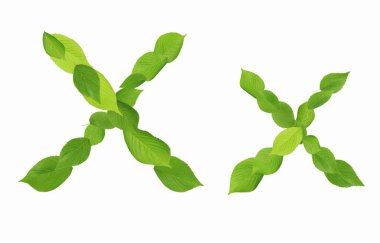 Beyaz arkaplanda izole edilmiş yeşil yapraklardan oluşan X harfi    