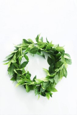 Açık arkaplanda taze yeşil yapraklar çelengi